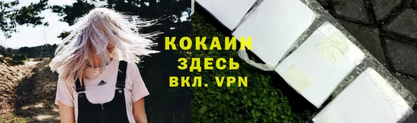 метадон Вяземский